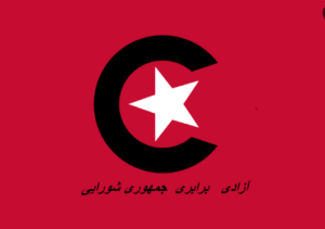 کاوه دادگری،بررسی انتقادی تاریخ انقلاب اکتبر